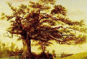 Painting of the Charter Oak