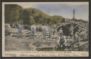 Postcard of Lumber Camp on Sugar Hollow Road