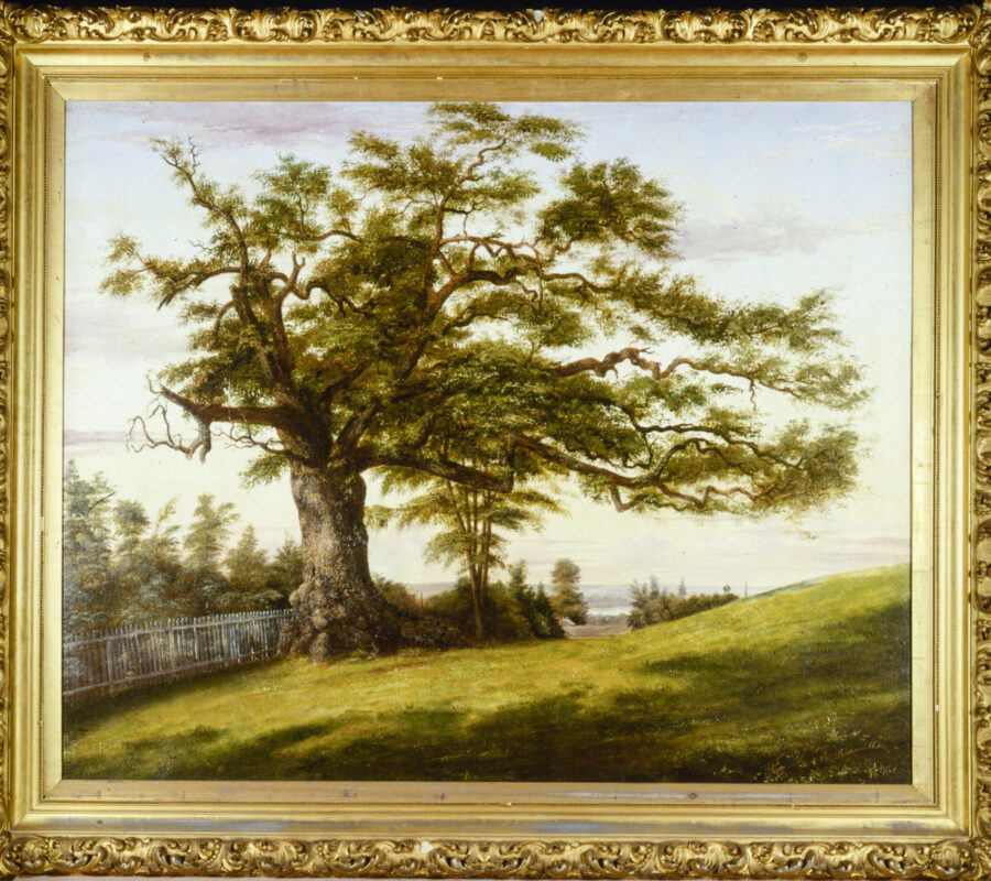 Painting of the Charter Oak, with a Church Spire and Colt Factory Onion Top in the Distance Including the Connecticut River.